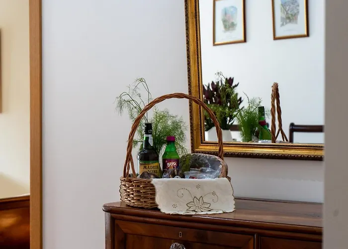 Funcho 91 - Spacious 100M2 Apt - Panoramic Views - Free Parking - Madeira *